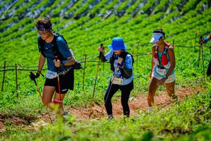 BIB: 5098
                            <button type="button" onclick="openModal(19163781)" class="btn btn-primary btn-sm float-right btn-popup" data-toggle="modal" data-target=".modal-high-quality">
                        <i class="fas fa-shopping-cart"></i> Add to Cart
                    </button>
                                            <button type="button" onclick="isThisMe(19163781, true)" class="btn btn-success btn-sm float-right btn-popup btn-isme hidden" data-toggle="tooltip" data-placement="bottom" title="นี่คือรูปของคุณใช่ไหม คลิกที่นี่เพื่อเอาเข้าอัลบั้ม">
                        <i class="fas fa-plus"></i> Add to album
                    </button>
                    <button type="button" onclick="isThisMe(19163781, false)" class="btn btn-warning btn-sm float-right btn-popup btn-isnotme hidden">
                        <i class="fas fa-ban"></i> Remove from album
                    </button>